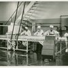 Borden - Cows - Milking - Bottling milk