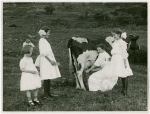 Borden - Cows - Milking - Girls milking cow