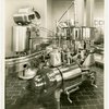 Borden - Cows - Milking - Bottling and capping room