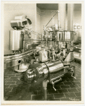Borden - Cows - Milking - Bottling and capping room