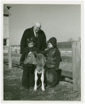 Borden - Jeffers, Henry (Inventor of Rotolactor, President of Walker-Gordon) - With grandchildren and cow
