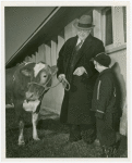 Borden - Jeffers, Henry (Inventor of Rotolactor, President of Walker-Gordon) - With granddaughter and cow