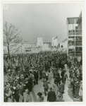 Boy Scouts - Parade