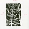 Unidentified structural detail