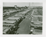 Buses - Parked