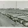 Buses - Parked