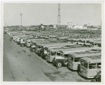 Buses - Parked