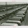 Buses - Parked