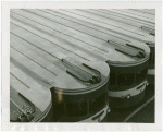 Buses - Greyhound Lines - Sutured for hibernation