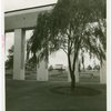 Business Systems and Insurance Building - Columns and tree