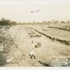 Business Systems and Insurance Building - Construction, pre-building