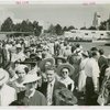 Crowd