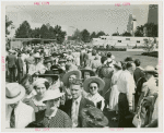 Crowd