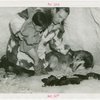 Carrier Corp. - Eskimos - Man and boy with dog and puppies