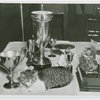 Cats - Show - Cat with trophies