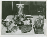 Cats - Show - Cat with trophies