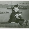 Cats - Show - Boy holding cat