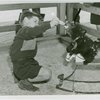 Children's World - Boy feeding bear cub