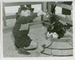 Children's World - Boy feeding bear cub