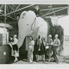 Children's World - Mechanical elephant