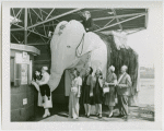 Children's World - Mechanical elephant