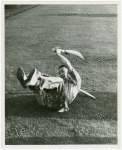 China Participation - Entertainers - Man with swords