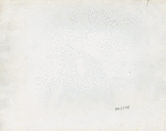 Construction - Surveyor
