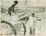 Construction - Cement workers