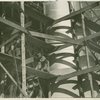Construction - Workers on scaffolding