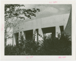 Consumers Building - View from behind trees