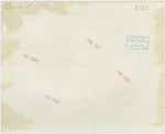 Contests - Woman with numbered ribbons pinned on