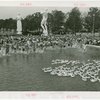Contests - Duck Chase - Children chasing flock of ducks