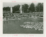 Contests - Duck Chase - Children chasing flock of ducks