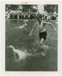 Contests - Duck Chase - Boy chasing duck
