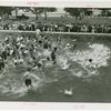 Contests - Duck Chase - Children chasing ducks