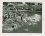 Contests - Duck Chase - Children chasing ducks