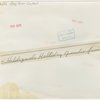 Contests - Hay Fever - Hildegarde Halliday sneezing