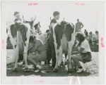 Contests - Milkmaid - Two contestants milking cows