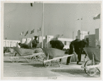 Contests - Parks Department - Wheelbarrow contest contestants