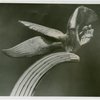 Contests - Photograph - Photograph of scuplture