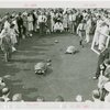 Contests - Turtle Derby - Turtles and tortoises racing while crowd looks on