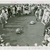 Contests - Turtle Derby - Turtles and tortoises racing while crowd looks on