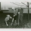 Continental Baking Co. - Benay Venuta, Jane Pickens and M. Lee Marshall (President, Continental Baking Co.) planting flowers