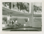 Coty - Perfume shops