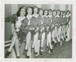 Coty - Female Guides - On windowsill