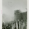 Court of Peace - Dedication - Doves