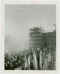 Court of Peace - Dedication - Doves