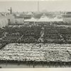 Court of Peace - Opening Day 1940, Boy Scouts forming human flag