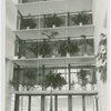 Cuba Participation - Plants