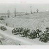 Denmark Participation - Prince Frederik and Princess Ingrid - In car with Fairgrounds in background